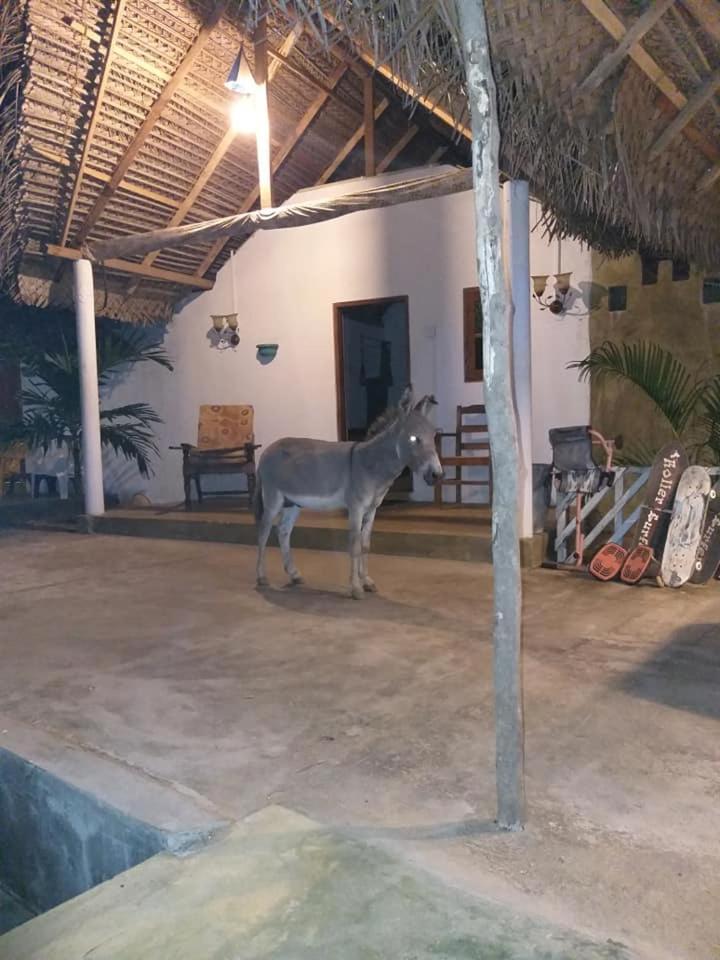 Kite Bay Villa Kalpitiya Extérieur photo